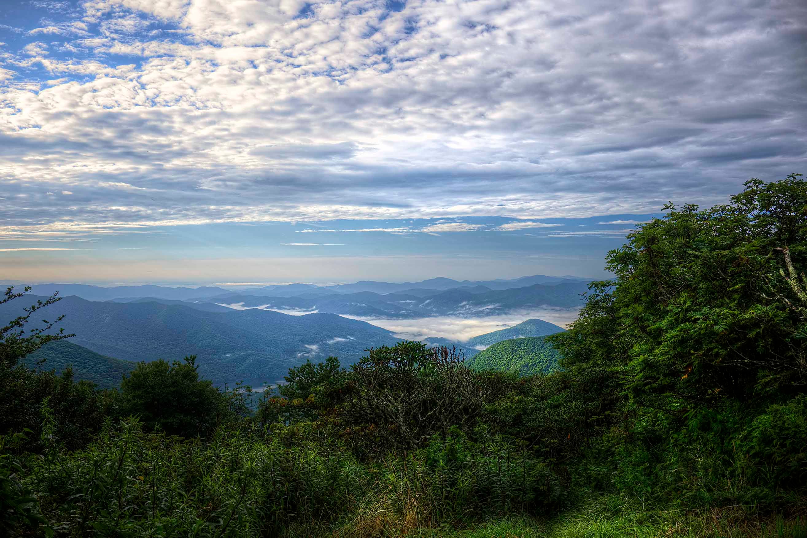 Morning fog pooling in the valleys between layers of blue Appalachian ridges