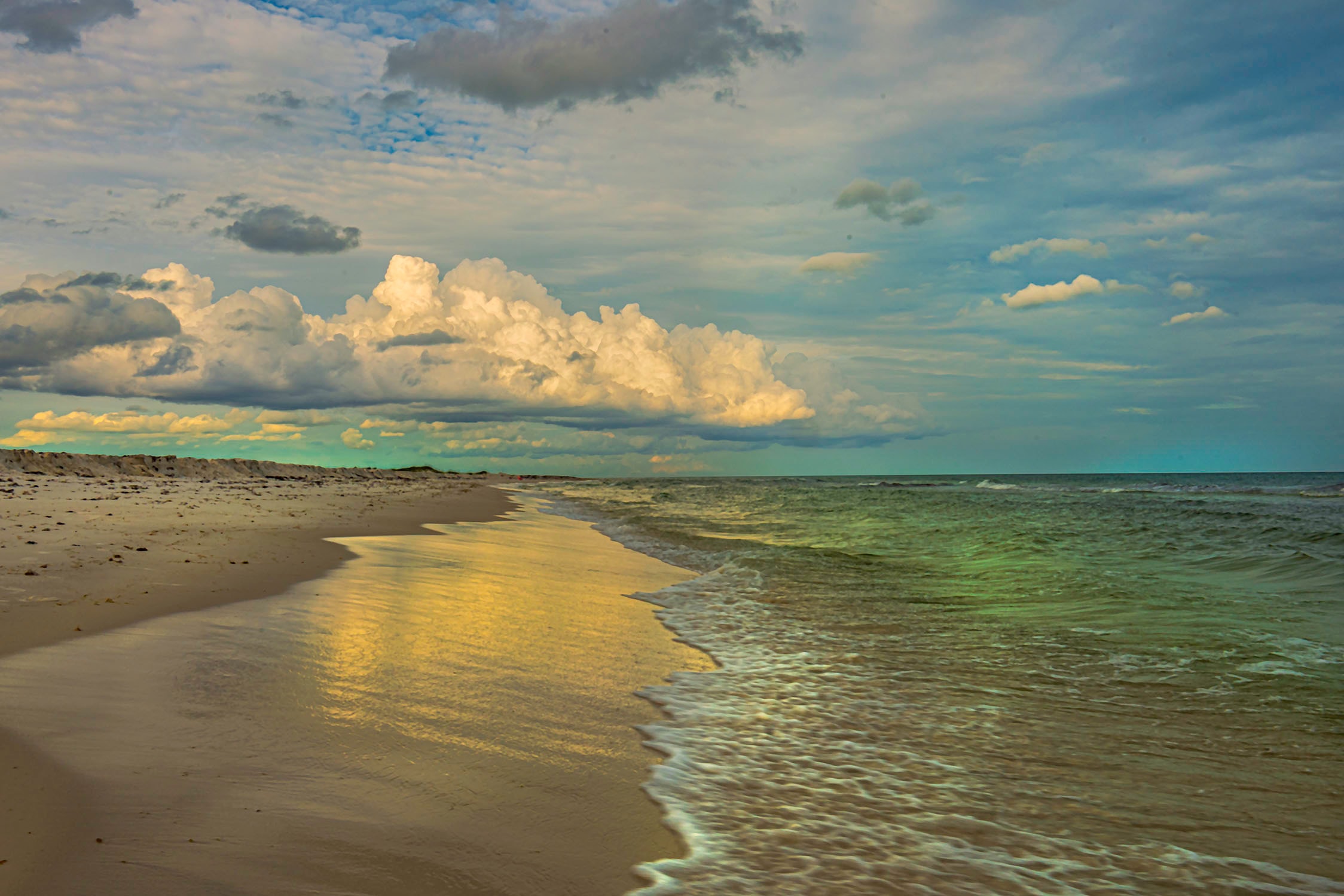 Late afternoon light painting the sand gold along the Florida Gulf Coast