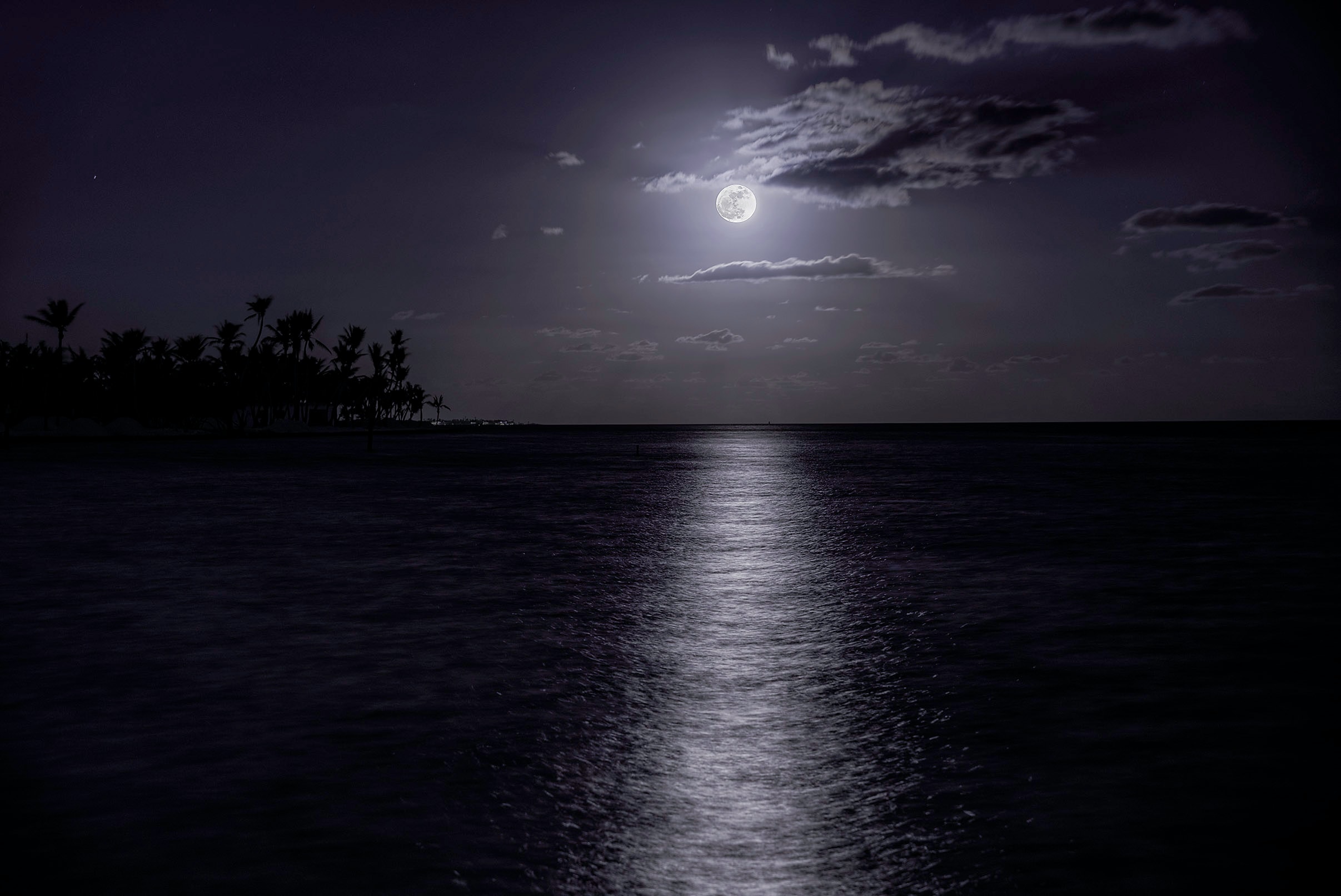 A full moon rising over the calm waters of Key Largo, its silver light casting a long reflection across the sea with palm silhouettes on the shore