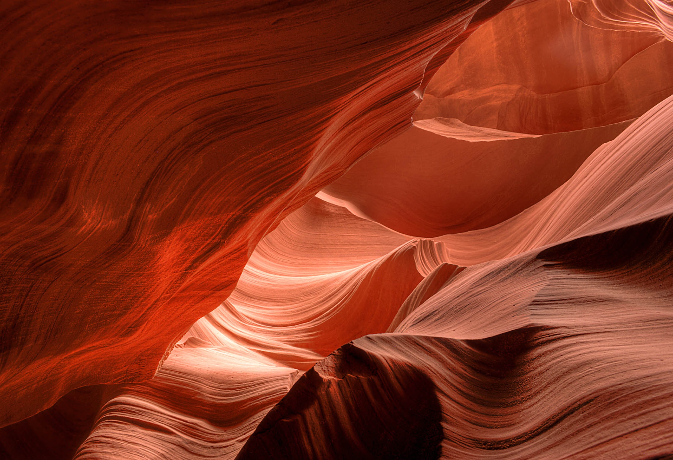 Tides of Stone — the flowing, wave-like walls of Lower Antelope Canyon in warm shades of salmon, copper, and rose
