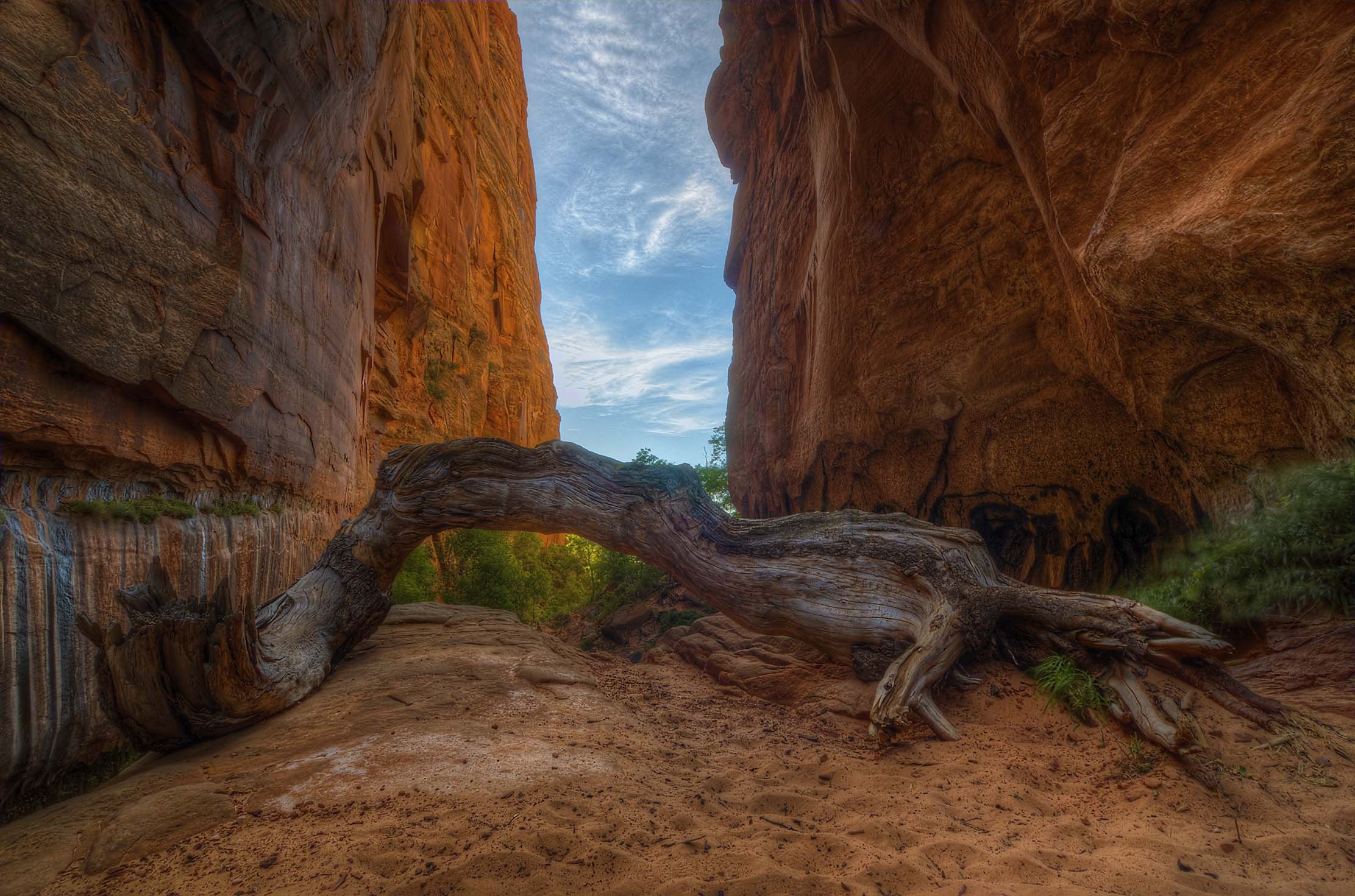 Water Canyon Utah — a silky cascade tumbling over red sandstone boulders in a narrow slot canyon bathed in deep violet and crimson light