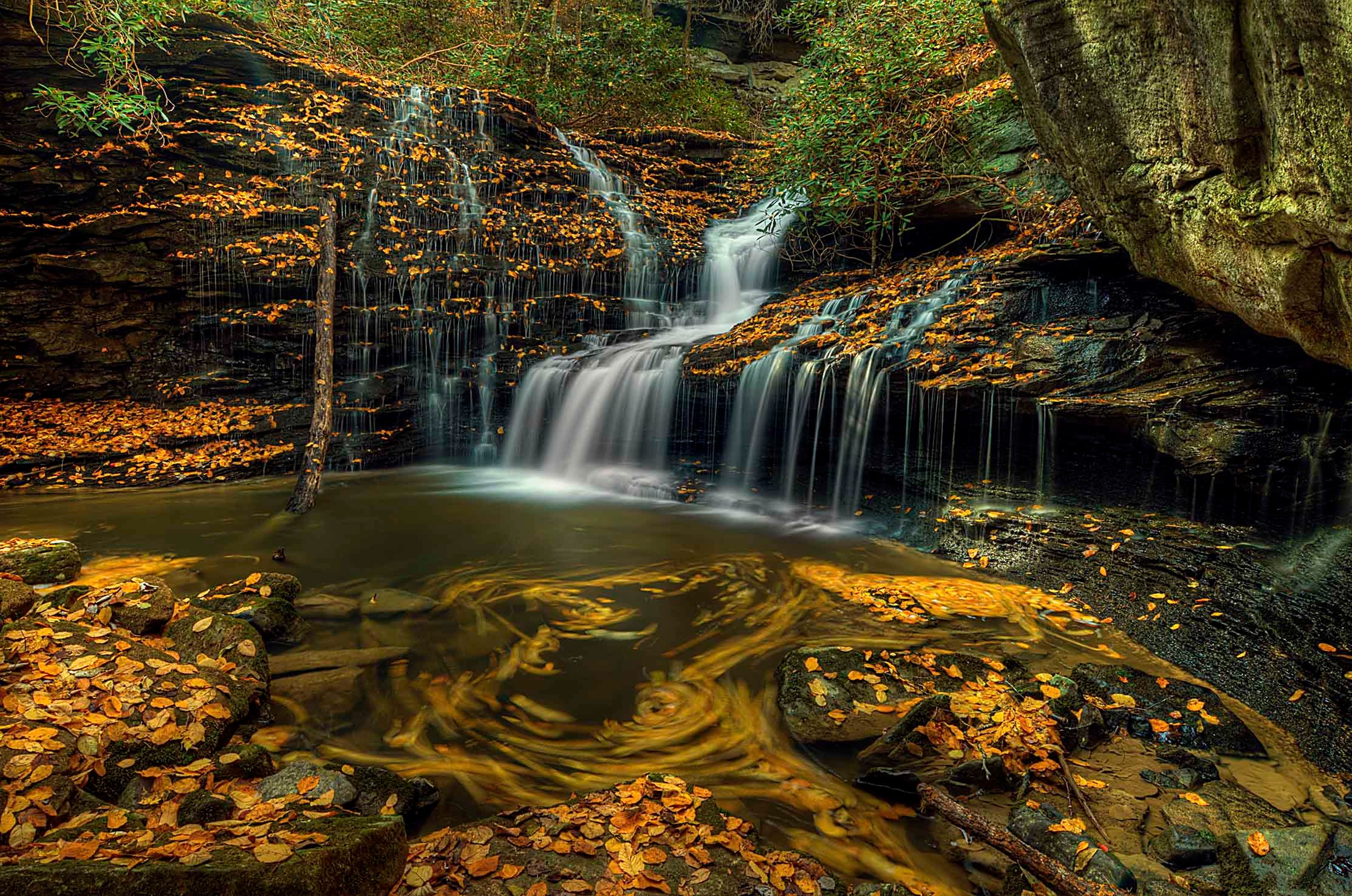 A cascading waterfall over dark layered rock shelves carpeted in golden fallen leaves, swirling in the pool below