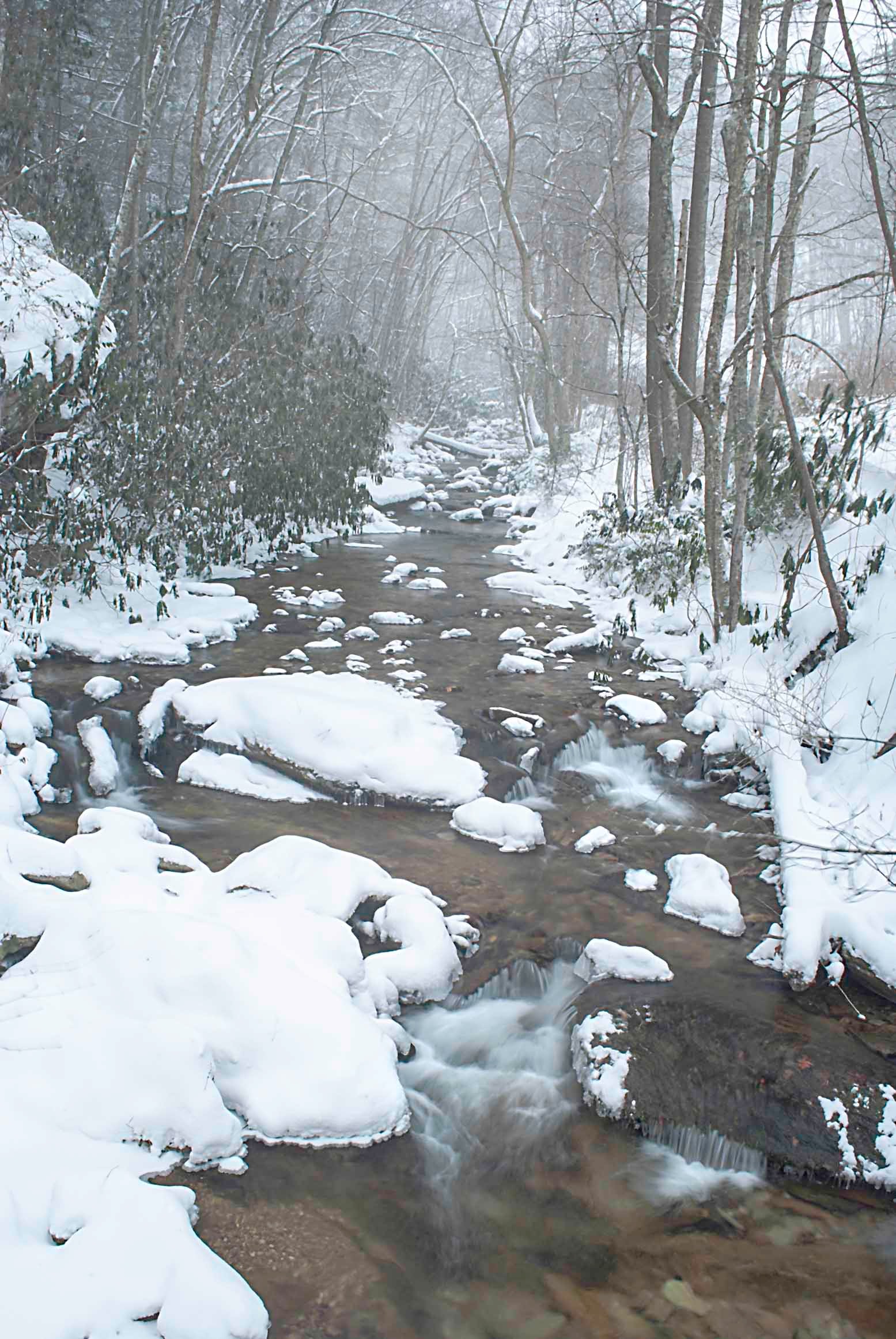 Snow-blanketed boulders lining a misty mountain stream disappearing into a bare winter forest