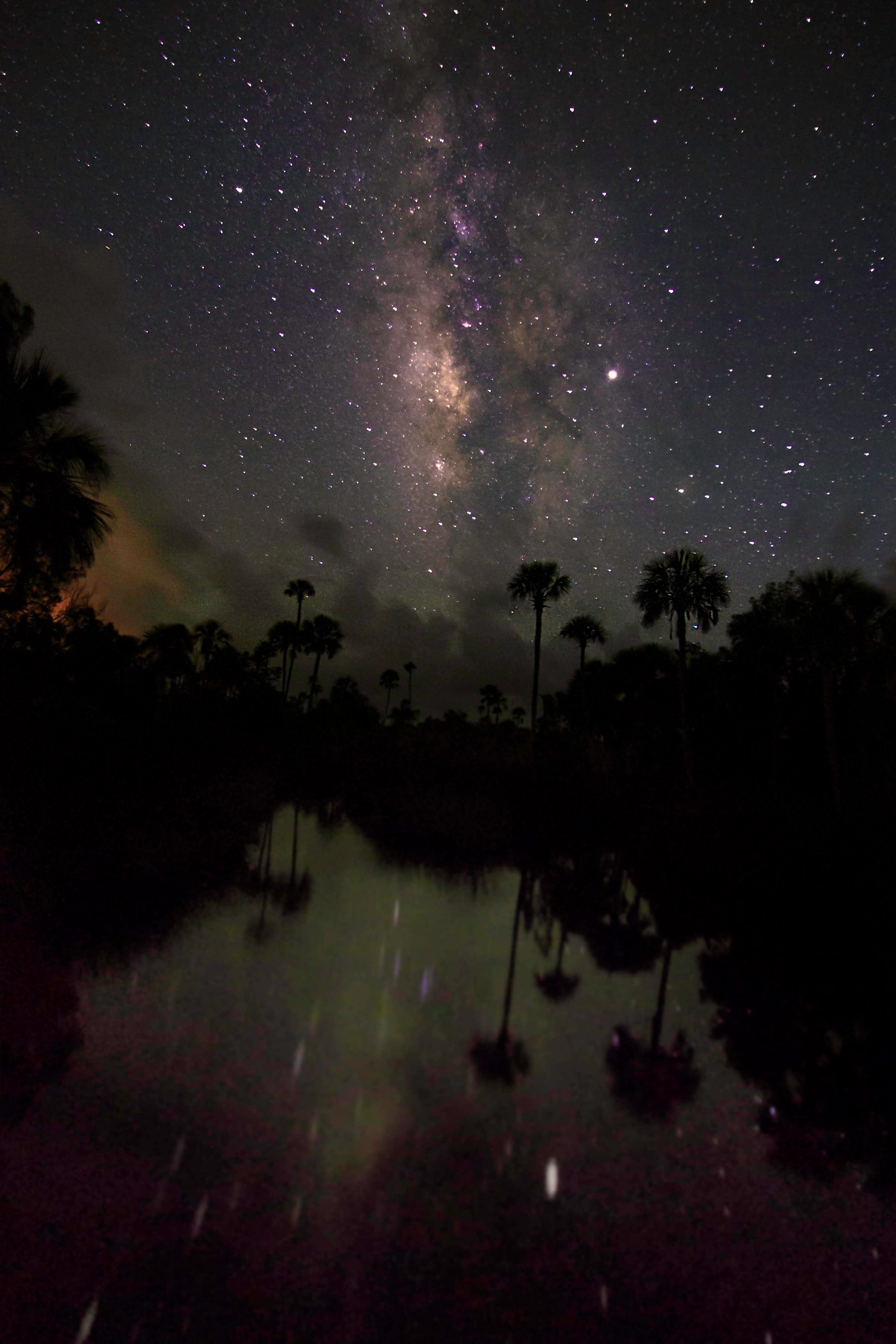 Milky Way rising above silhouetted palms reflected in the Suwanee River Delta