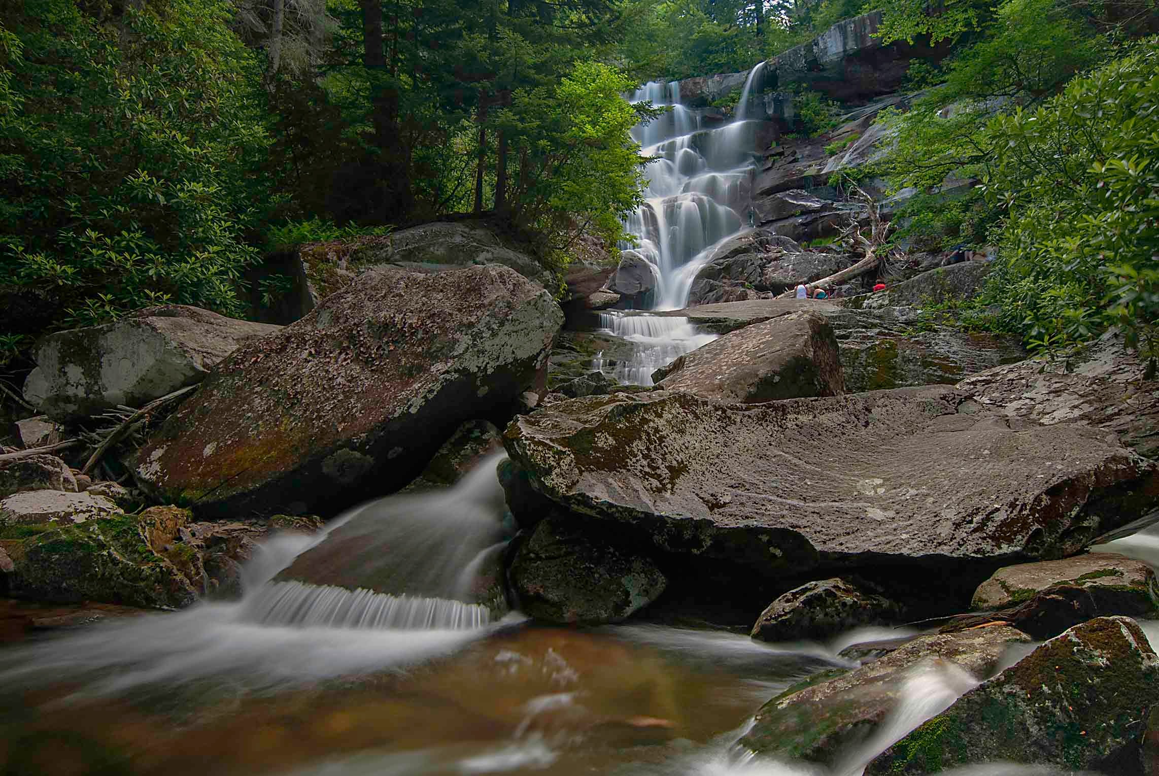 Ramsey Cascades tumbling in multiple tiers over massive boulders through a lush summer forest in the Smokies