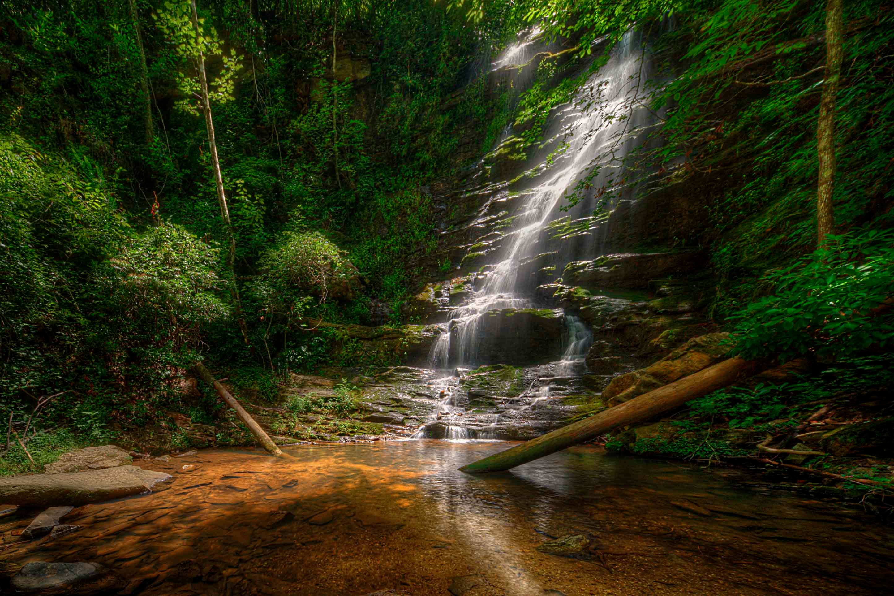 Reedy Branch Falls SC cascading in silky tiers over mossy rocks into a warm amber pool